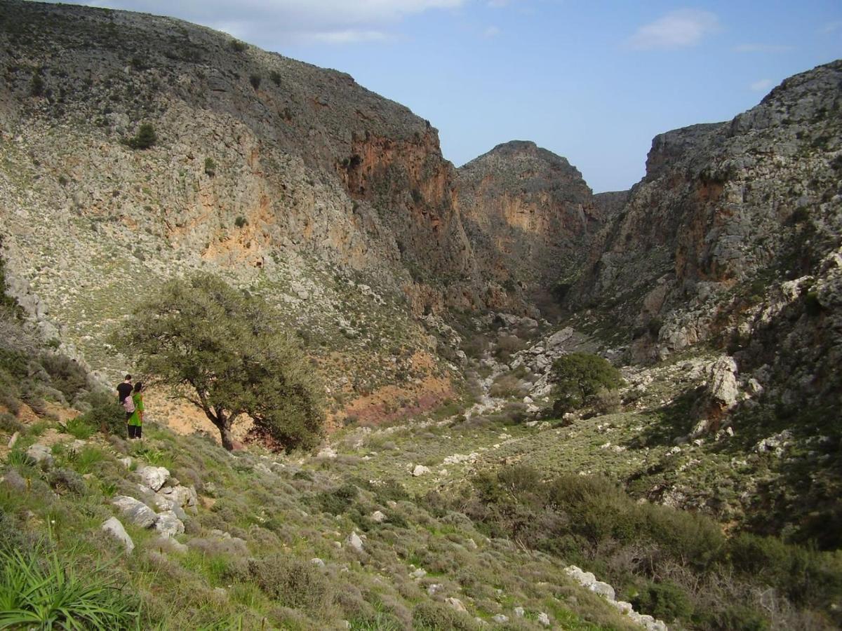 Carissa House In Crete Apartman Szitía Kültér fotó