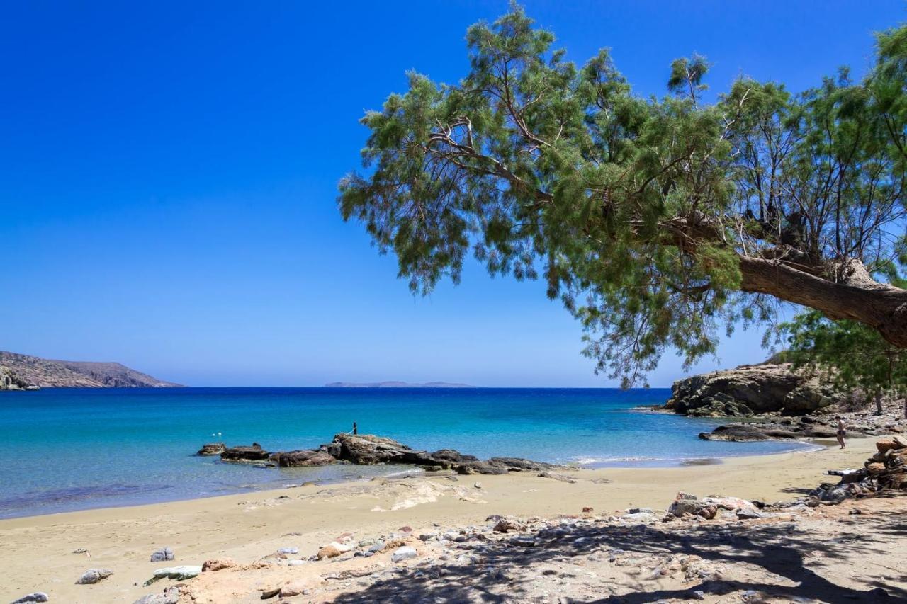 Carissa House In Crete Apartman Szitía Kültér fotó